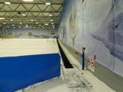 Tapis roulant dans la zone débutants