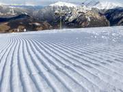 Des traces fraîches dans la neige