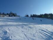 Piste de ski au Mehliskopf