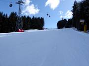 Préparation des pistes excellente