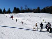 Hornbabylift - Téléski