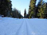 Piste de ski de fond dans le domaine skiable Černá hora