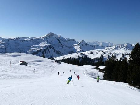 Diversité des pistes Massif du Bregenzerwald – Diversité des pistes Damüls Mellau