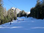Descente vers la vallée jusqu'à Falzeben