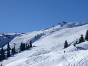 Large descente du sommet au Schatzberg