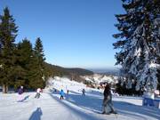 Piste n° 43 M3 Lewa