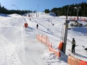 Kleiner Götschenlift - Téléski à pioches