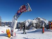 Bon plan pour les enfants : 