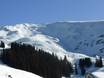 Alpes uranaises: Taille des domaines skiables – Taille Meiringen-Hasliberg