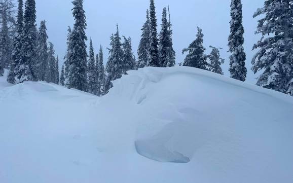 Fiabilité de l'enneigement Central Kootenay – Fiabilité de l'enneigement Whitewater – Nelson