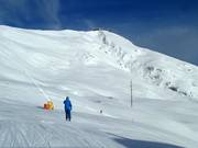 Vue sur les pistes de poudreuse au Lavey