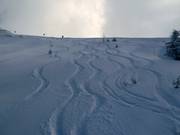 Traces dans la neige profonde