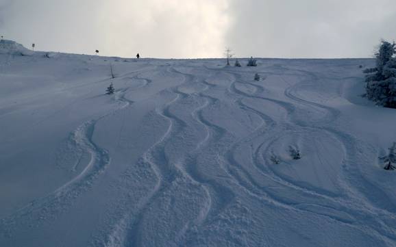 Domaines skiables pour skieurs confirmés et freeriders Silberregion Karwendel  – Skieurs confirmés, freeriders Kellerjoch – Schwaz