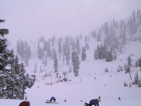 Diversité des pistes Cascades du Nord – Diversité des pistes Mt. Baker