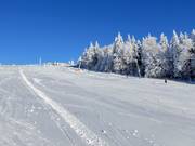 Piste facile au téléski Almwiesenlift