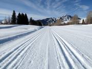 Pistes de ski de fond au Sun Valley Nordic Center