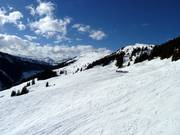 Beaucoup d'espace de ski libre entre Wurzhöhe et Bärenbadkogel