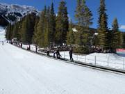 Tapis roulant pour les premières tentatives
