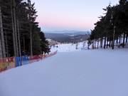 Piste n° 33 W5 Lewa