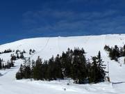 Vue sur les pistes n° 1 et n° 5 au Skihytta Ekspress