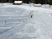 Kleinkinderlift Zinggen - Télécorde/remonte-pente à câbles bas