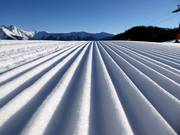 Très bonne préparation des pistes