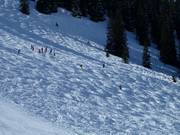 Les bosses sont un défi.