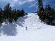 Piste raide au Mountaineer Express