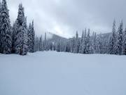 Piste très facile au Red Mountain Resort