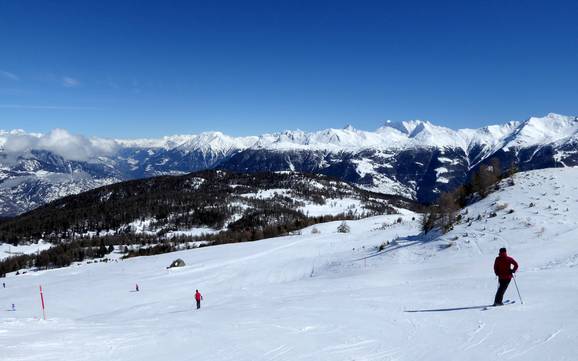 Vallée de Viège (Vispertal): Taille des domaines skiables – Taille Bürchen/Törbel – Moosalp
