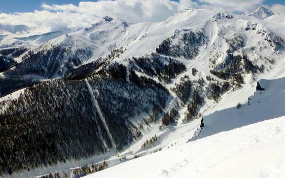 Vallée de la Tinée: Taille des domaines skiables – Taille Auron (Saint-Etienne-de-Tinée)