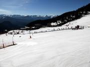 Tapis roulants pour débutants à Arinsal près de Comallemple