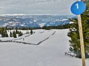 Piste bleue extérieure familiale aux téléskis Zirbenlifte
