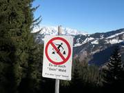 C’est aussi « ta » forêt