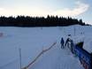 Allemagne de l'Est: Taille des domaines skiables – Taille Rölzhang – Wildenthal