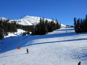 Piste n° 27 World Cup Downhill