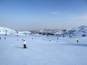 Piste très facile Emile Allais