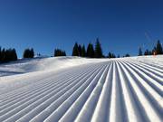 Très bonne préparation des pistes