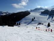 Vue sur les larges pistes du Mittleren Sudelfeld