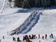 Sunny Kids Park - Tapis roulant/Moving Carpet recouvert d’une galerie