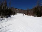 Large piste à travers des couloirs forestiers