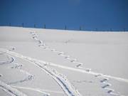 On fait environ 20 virages.