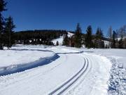 Piste de ski de fond sur la Hochrindl