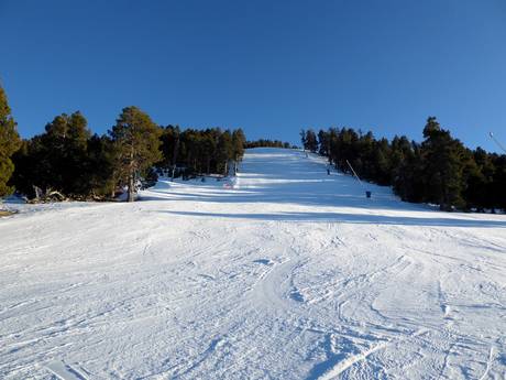 Domaines skiables pour skieurs confirmés et freeriders Catalogne – Skieurs confirmés, freeriders La Molina/Masella – Alp2500