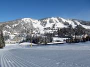 Piste facile Silver Queen