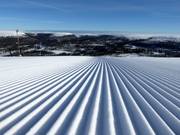 Piste fraîchement préparée à Tandådalen