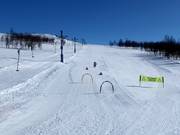 Bon plan pour les enfants : 