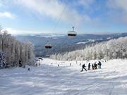 Vue depuis l'Almberg sur la Forêt bavaroise
