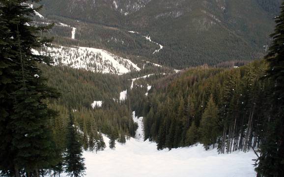 Domaines skiables pour skieurs confirmés et freeriders North Okanagan – Skieurs confirmés, freeriders Silver Star