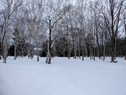 Des descentes en forêt très faciles au télésiège quatre places High Speed Lift 1